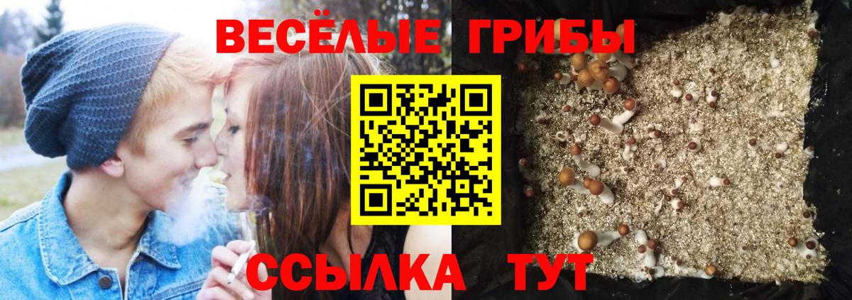 Красноармейск  Псилоцибиновые грибы мицелий  Вход с VPN 
